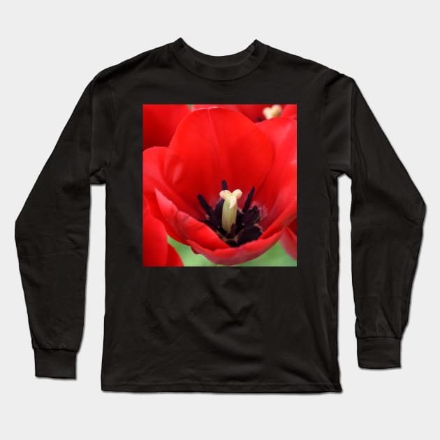 Tulip Long Sleeve T-Shirt by chrisburrows